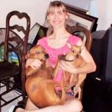 Experienced And Loving Dog Walker Available In World Golf Village Area (32092)
