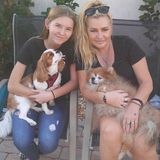 Wonderful House Sitter for Hire! Kind and compassionate, trustworthy, clean and dependable. EXTREME animal lover