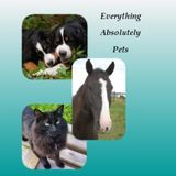 Experienced farm and pet caregiver