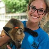 Consistent Animal Lover