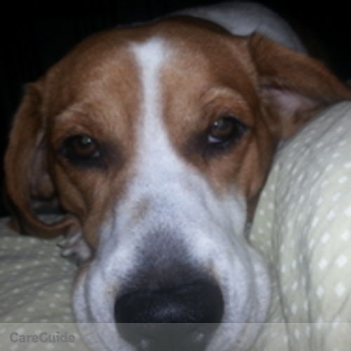 Canadian Nanny Provider Sherry P's Profile Picture