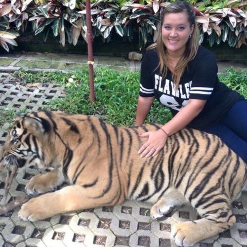 House Sitter Provider Cayla P's Profile Picture