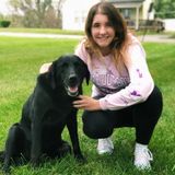 Saint Joseph Dog Sitter Looking For Being Hired