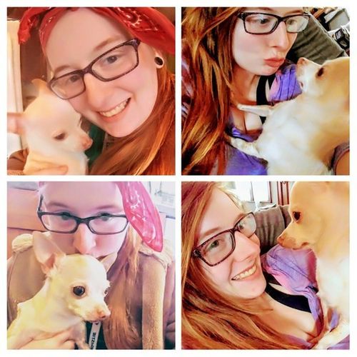 House Sitter Provider Rebecca Herzig's Profile Picture