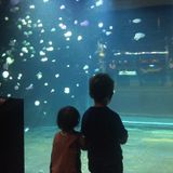 Fun ECE Nanny needed 3 days per week(Wed-Fri) from Jan for our little boy and girl!
