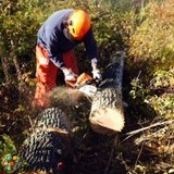 Northfield building services llc