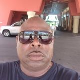 Seasoned House Sitter in Buffalo, New York