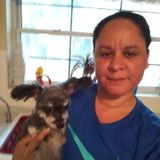 Pet Sitter in Jacksonville Beach