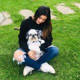 Colombian girl in Montreal with a huge love for animals, looking for a job on this field.