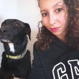 Dog sitter/walker Mon-Sat 8am-5pm in Rockville MD