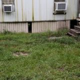 Need someone whose up for a challenge!