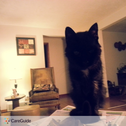 Pet Care Provider Cindy Switzer's Profile Picture