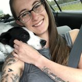 For Hire: Caring Pet Sitter in Orange Park, Florida