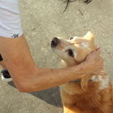 Interviewing For Dickinson Animal Caregiver Opportunity