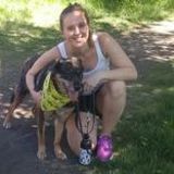 Friendly, active pet sitter experienced with large dog breeds eager to care for your pet!