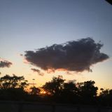 Searching for a Petsitter Job in Yonkers, New York or NY, NY. I am a dog owner and would love to offer my experience.
