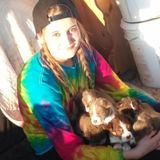 Interested In a Dog Sitter/walker Opportunity in Amarillo. I love any and all animals. Im very flexible with my hours.