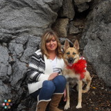Dependable pet sitter that will treat your pets as my own