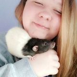 Rapid City, South Dakota Dog Sitter