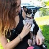 Caring Dog Walker in Miami