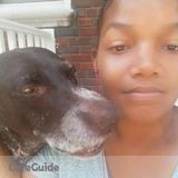 Inexpensive and Reliable Dog Walker