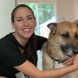 Raleigh House Sitting Service Provider Interested In Job Opportunities