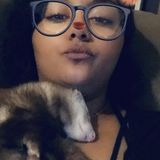 Springfield, Massachusetts Dog Sitting Professional