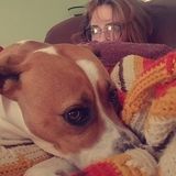 Animal Loving Caldwell Petsitter Available