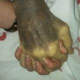 Hello, my name is Alexis B, and I'm a genuine, hard-working, attentive, In-Home Caregiver ready to help!
