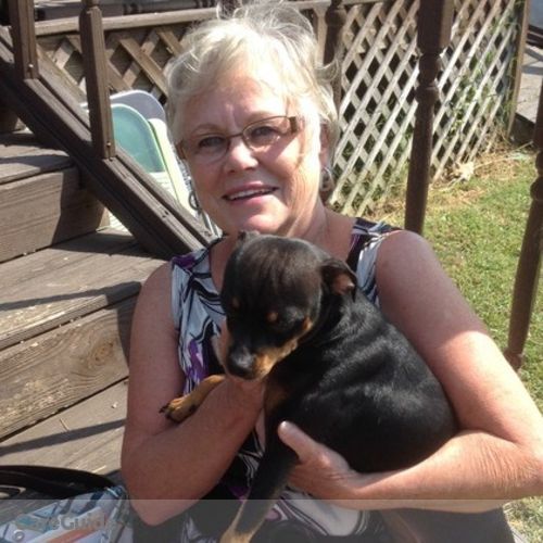 Pet Care Provider Dorothy Smith's Profile Picture