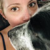 Trustworthy Pet Carer in Lodi