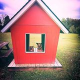 Guelph, Ontario Part Time Nanny Opportunity