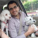 Experienced and Animal-loving Caregiver
