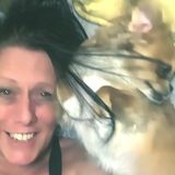 Dogs and Reptiles