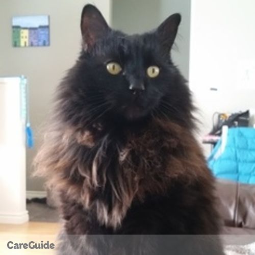 Pet Care Provider Susan B's Profile Picture