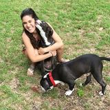 Eustis Pet Sitter Seeking Job Opportunities