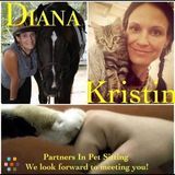 Qualified and responsible Pet Sitter - available immediately.