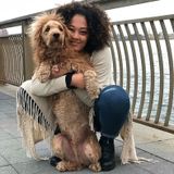 Jamaica Pet Care Professional (Dog walking/ Overnight
Pet sitting)