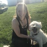 Qualified, Dependable & Loving Pet Sitter - Available Immediately.