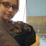 Mechanicsburg Pet Sitter Looking for Work