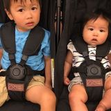 Part time nanny for Kitsilano family (live out)