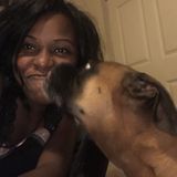 Eatonville Pet Care Provider Interested In Being Hired in Orlando, FloridaI love dogs