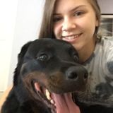 Winter Garden Pet Care Provider Looking For Work