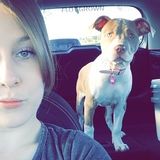 Skillful Pet Supervisor