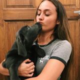 Kent Dog Sitting Professional Seeking Job Opportunities in Ohio