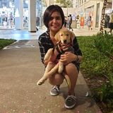 I am a 100% Dog Lover