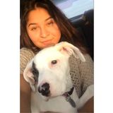 Professional Pet Sitter available in Forsyth county