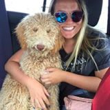 Dog Sitter and BIG Dog Lover