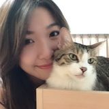 Forest Hills Pet Trainer Interested In Work in New York