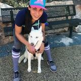Honest Animal Caregiver